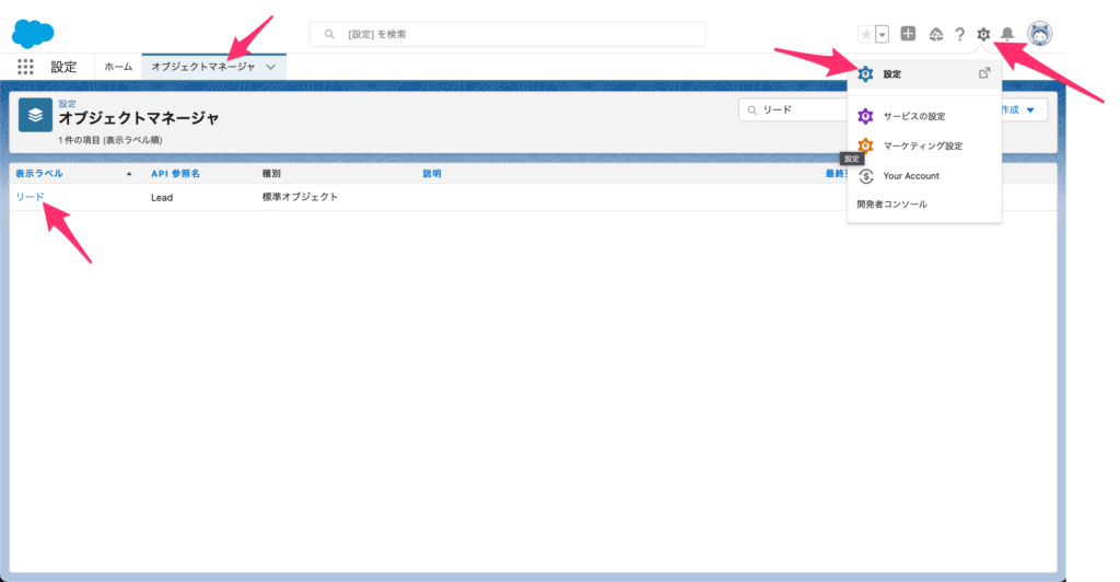 [歯車マーク]→[設定]→[オブジェクトマネージャー]→[リード]をクリック