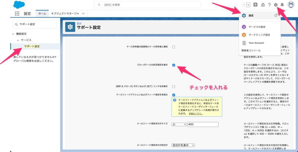 [ケースフィードアクションおよびフィード項目を有効化]にチェック